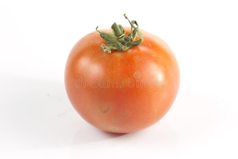Tomates frescos imagen de archivo libre de regalías Tomates frescos imagen de archivo libre de regalías