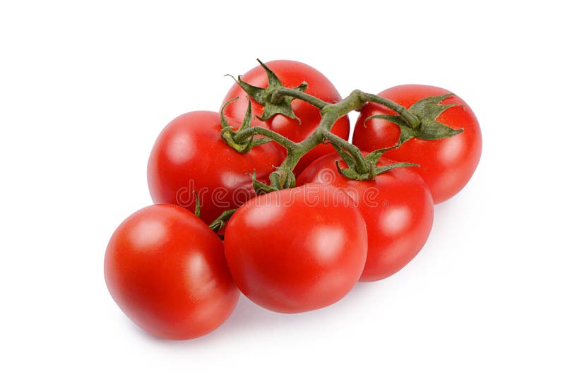 Tomates frescos rojos en blanco imagen de archivo libre de regalías Tomates frescos rojos en blanco imagen de archivo libre de regalías