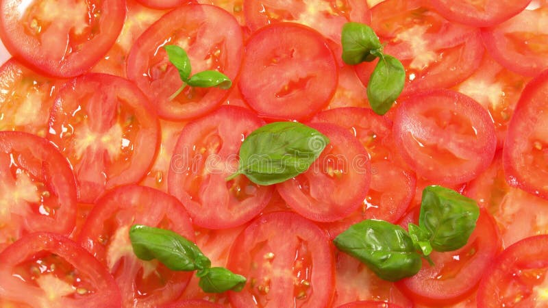 Tomates recién cortados con hojas de albahaca frescas como el carpaccio de tomate rotan como fondo. preparaciones para pizza o metrajes