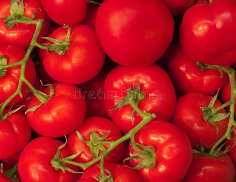 Tomates rojos