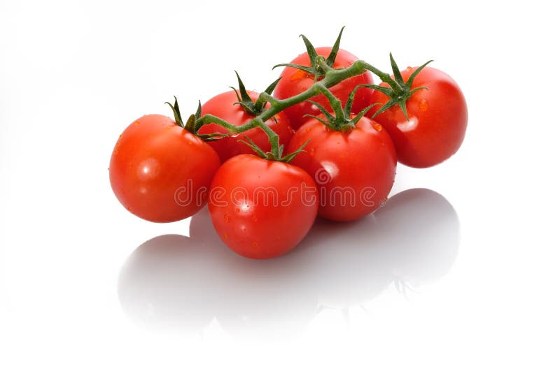 Tomates rojos con descensos del verde y del agua fotografía de archivo Tomates rojos con descensos del verde y del agua fotografía de archivo