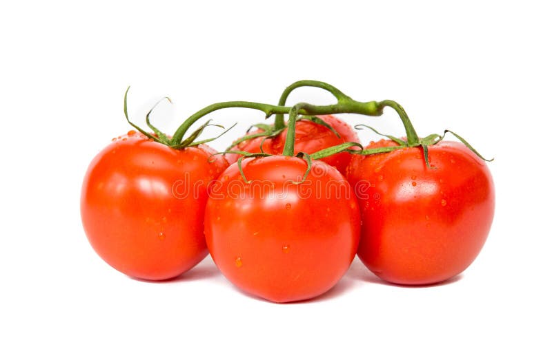 Tomates rouges et délicieuses colorées avec le fond blanc image libre de droits Tomates rouges et délicieuses colorées avec le fond blanc image libre de droits