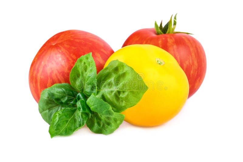 Tomates rouges et jaunes avec la feuille de basilic photographie stock libre de droits Tomates rouges et jaunes avec la feuille de basilic photographie stock libre de droits