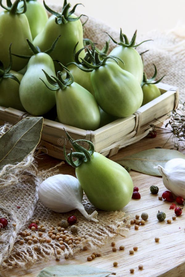 Tomates vertes image stock Tomates vertes image stock