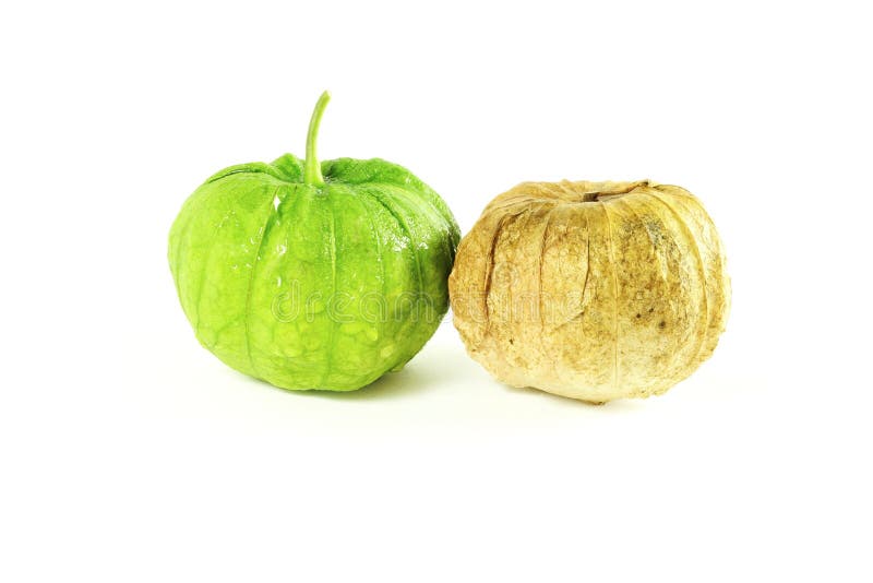 Tomatillo Or Mexican Green Tomato Fruit Or Vegetable Stock Photo Image 58540021