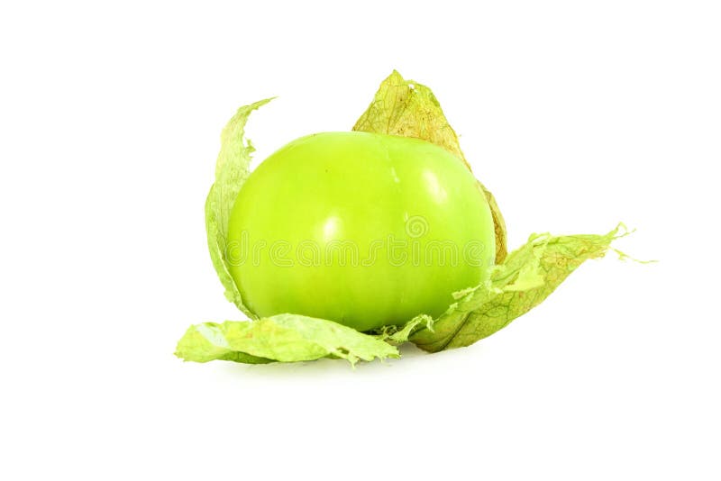 Tomatillo or Mexican Green Tomato Fruit or Vegetable Stock Image Image of cherry, cultivation