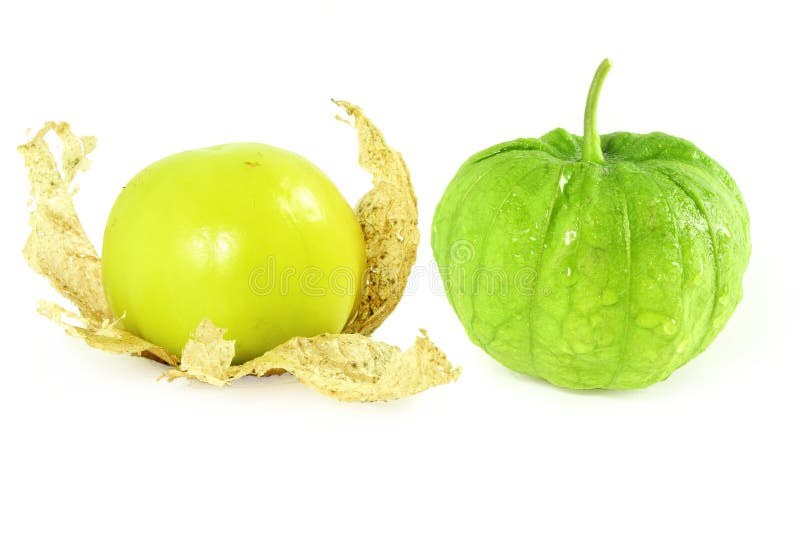 Tomatillo or Mexican Green Tomato Fruit or Vegetable Stock Photo Image of mexicangreentomato