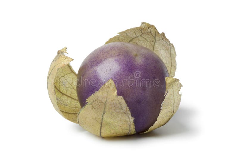 Tomatillo roxo fresco fotos de stock