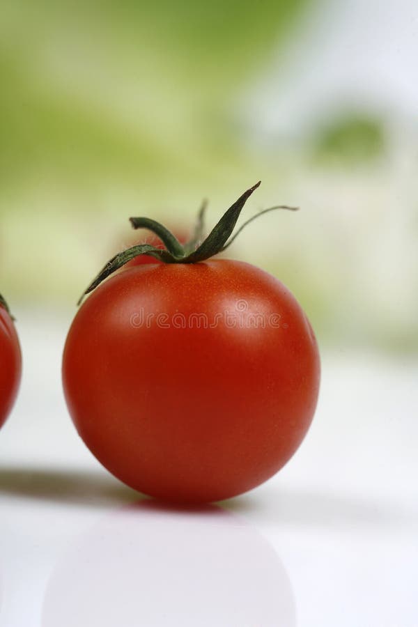 Tomato