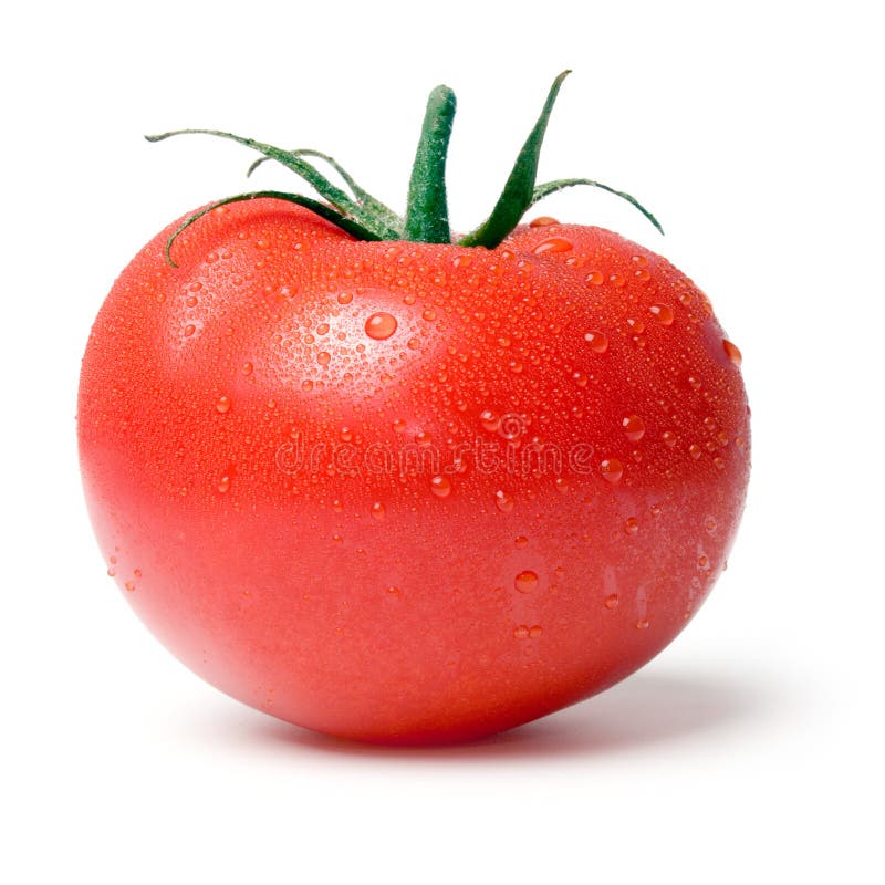 Tomato. stock photo. Image of single, agriculture, closeup 14622798