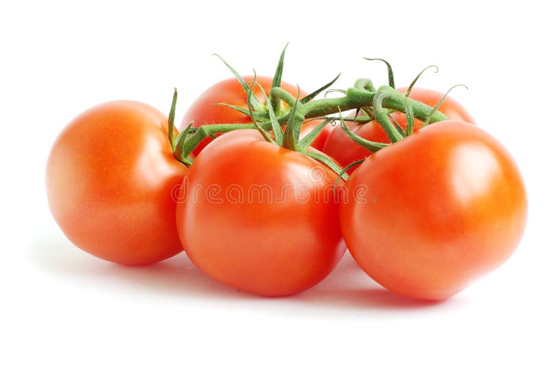 Tomato