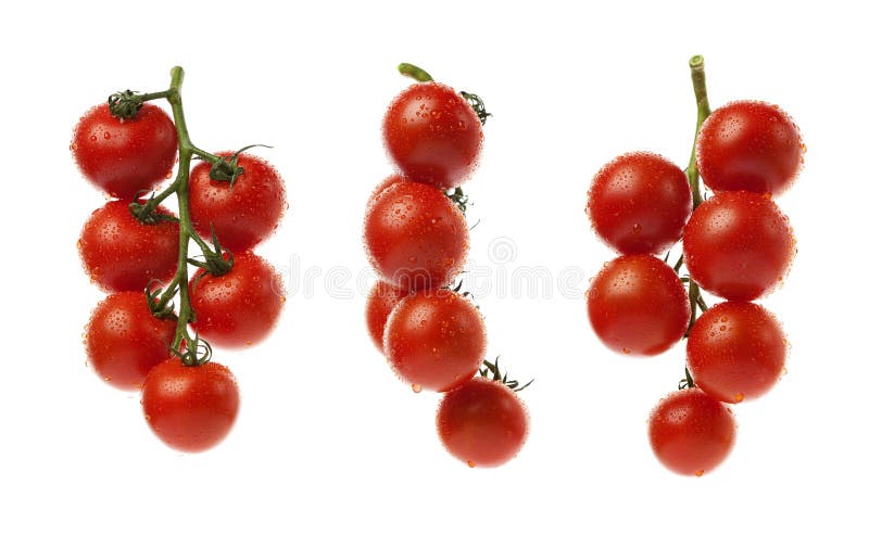 Tomato