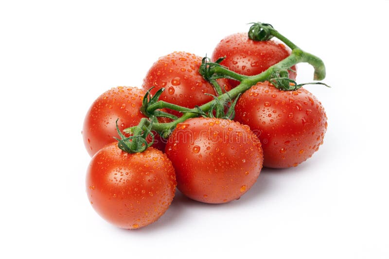 Tomato