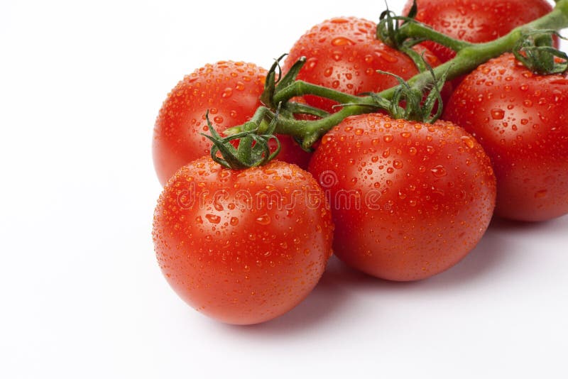 Tomato