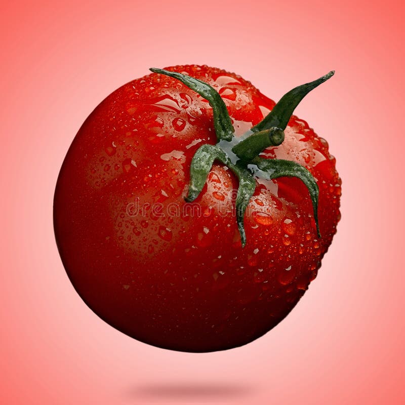 Tomato stock photo. Image of kitchen, food, round, cooking 338718