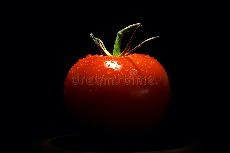 Tomato