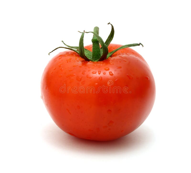 Tomato