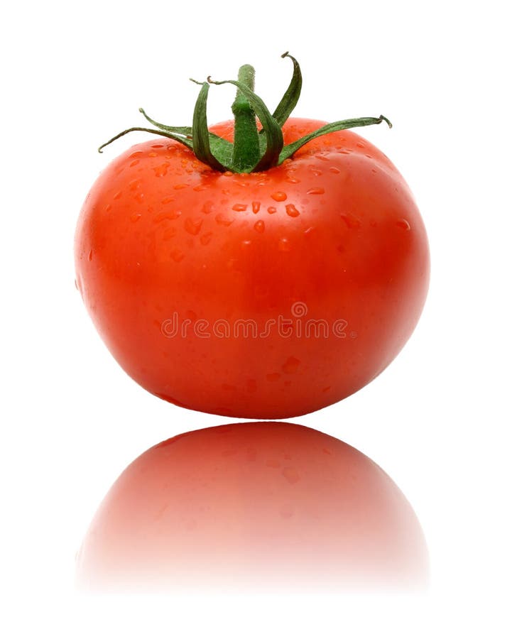 Tomato