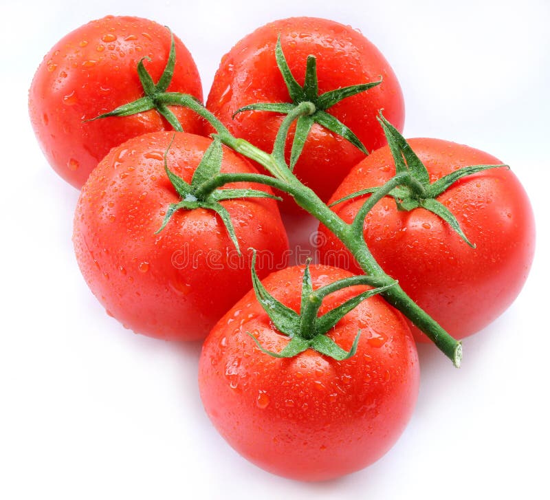 Tomatoes stock image. Image of food, tomato, isolated 11162573