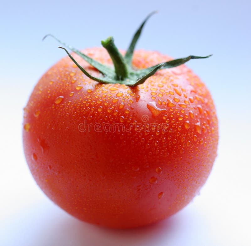 Tomato stock image. Image of tomato, vegetables, food 10350575