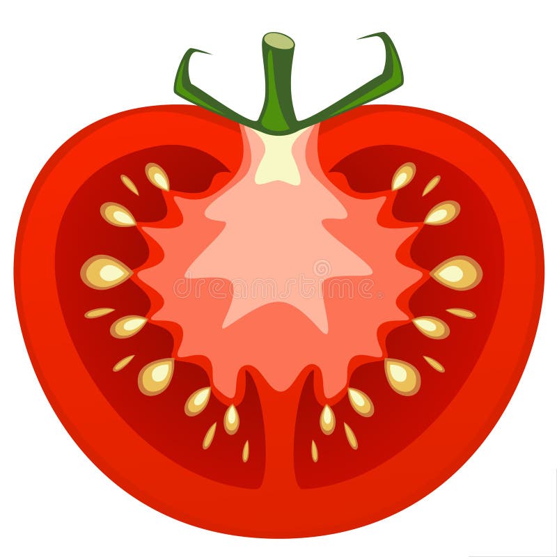 Tomato