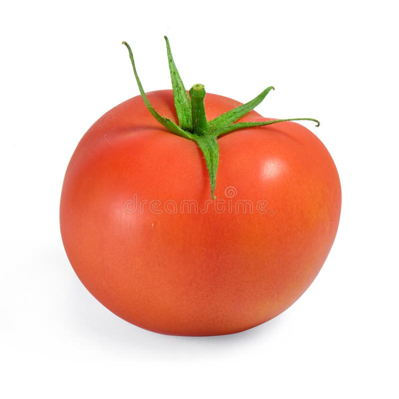 Tomato stock image. Image of cooked, fresh, fruit, shiny 36597193