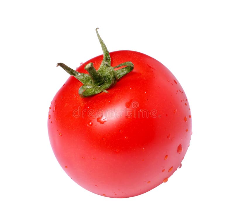 Tomato