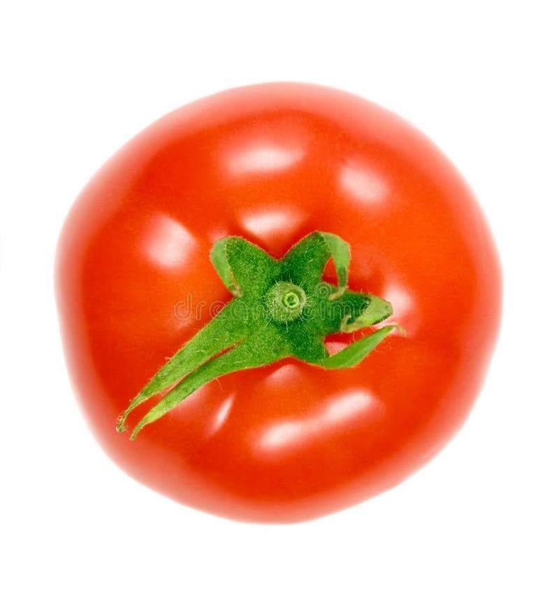 Tomato stock image. Image of garden, fruit, isolated, circle 9140105