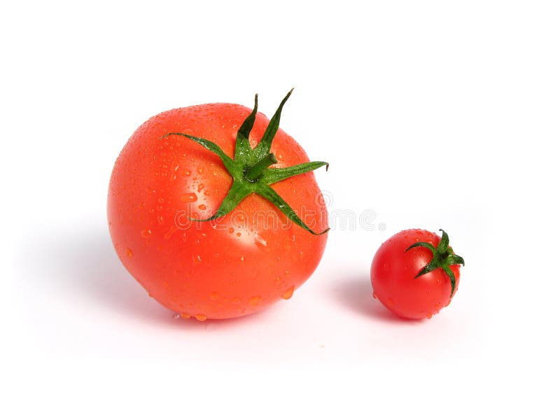 Tomato comparison