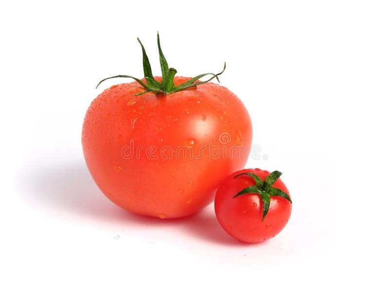 Tomato comparison