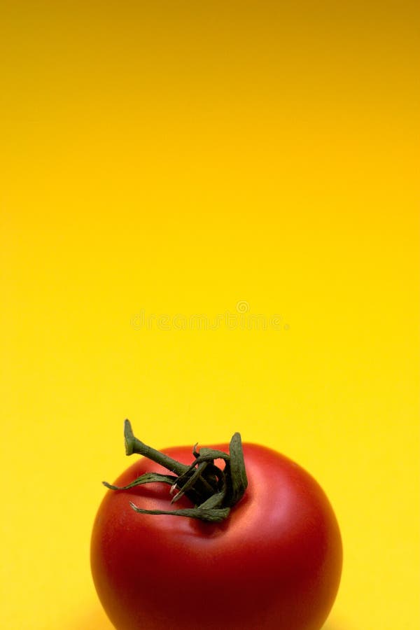 Tomato - copyspace