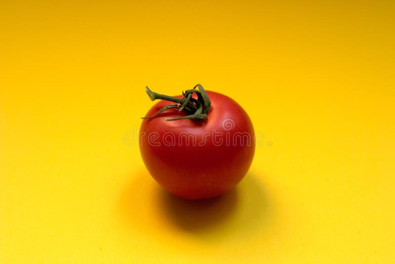 Tomato - copyspace