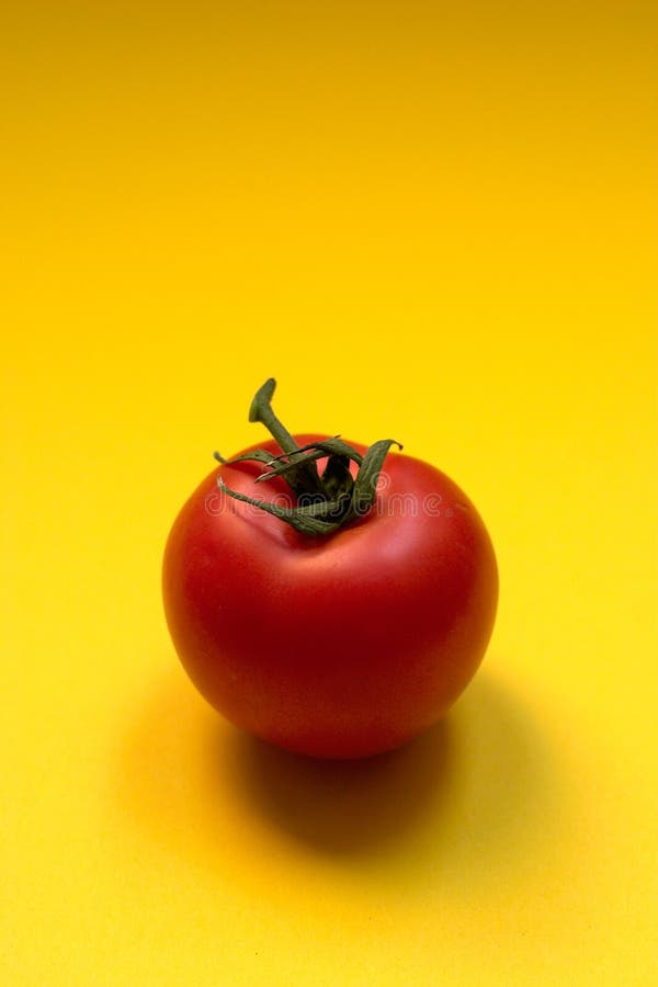 Tomato - copyspace