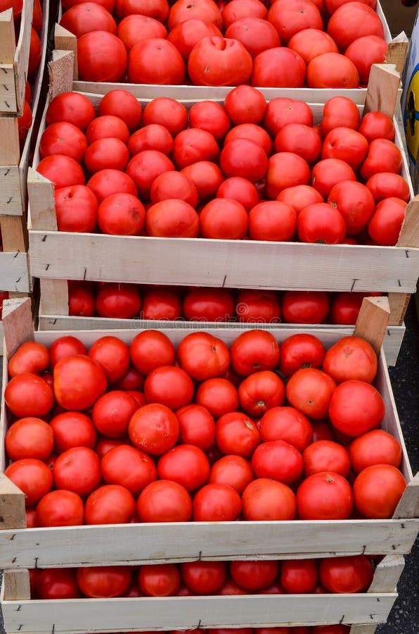 Tomato in crates