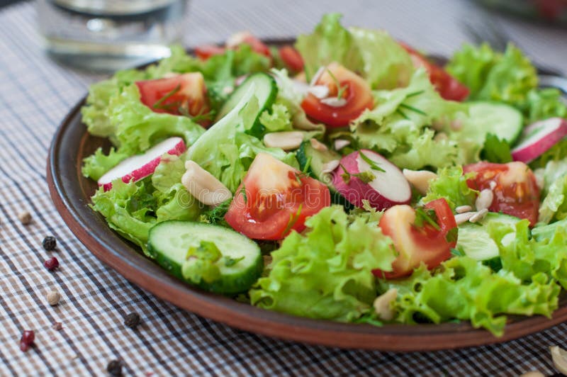 Tomato and Cucumber Salad with Lettuce Leaves Stock Image Image of