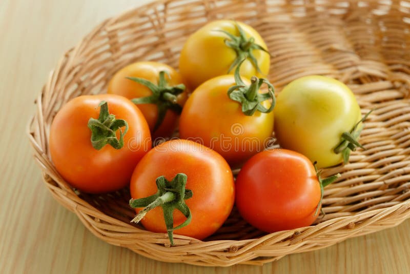 Tomato Fruit Vegetable Basket Stock Image Image of fruit, vegetable