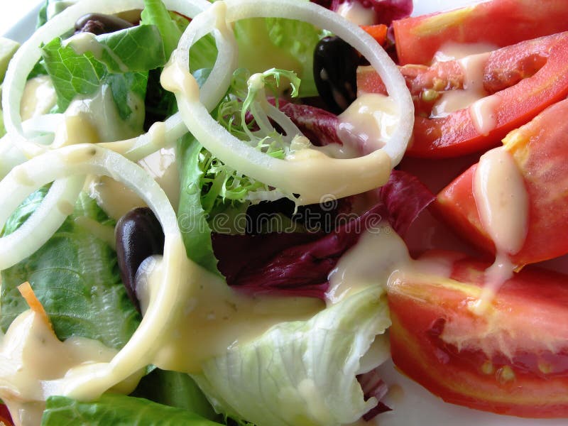 Tomato mozzarella ECU royalty free stock images