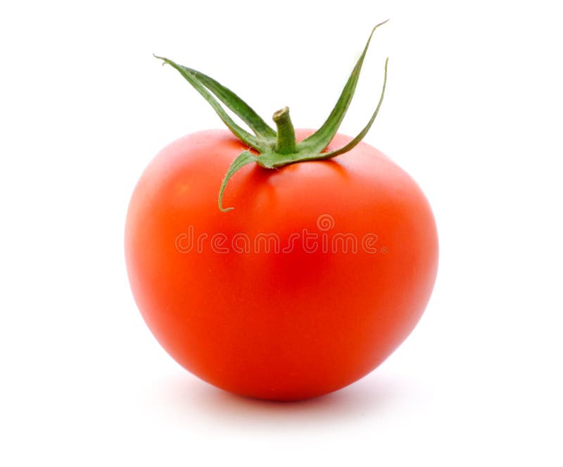 Tomato stock photography Tomato stock photography
