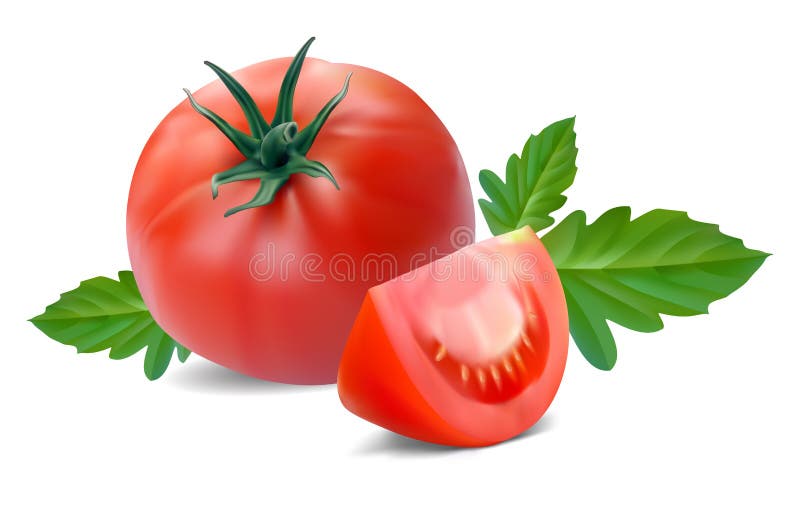 Tomato with segment on a white background