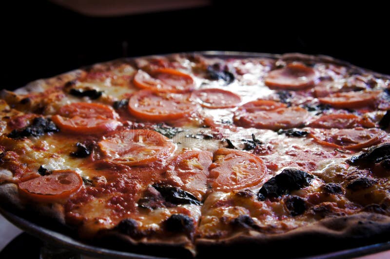 Tomato Thin Crust New York Style Hot Pizza Stock Photo Image of