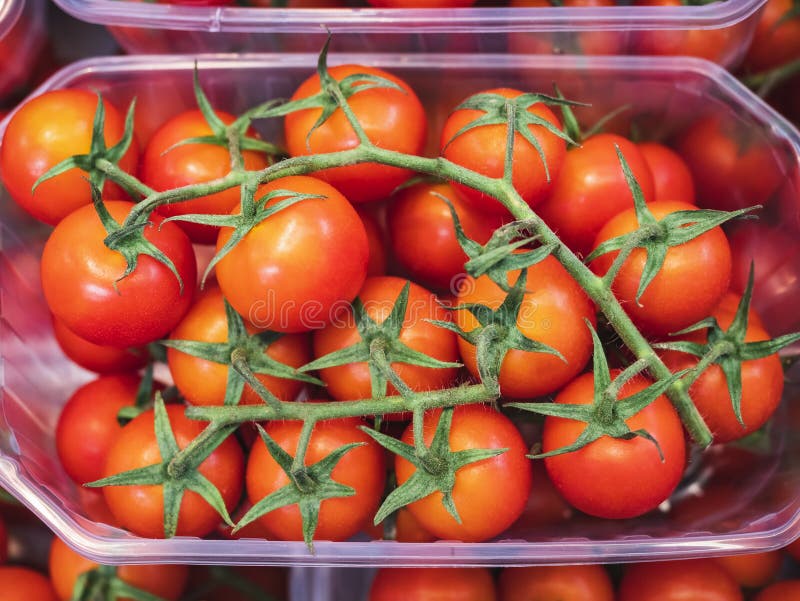 Tomato Vegetable Cherry Tomato in Package Fresh Market Display Stock