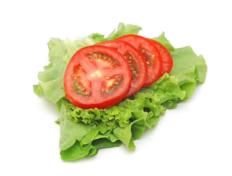 Tomato Vegetable And Lettuce Stock Photo Image Of Isolated Growing