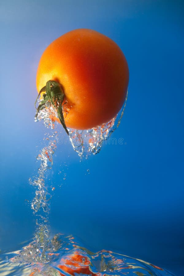 Tomato in water