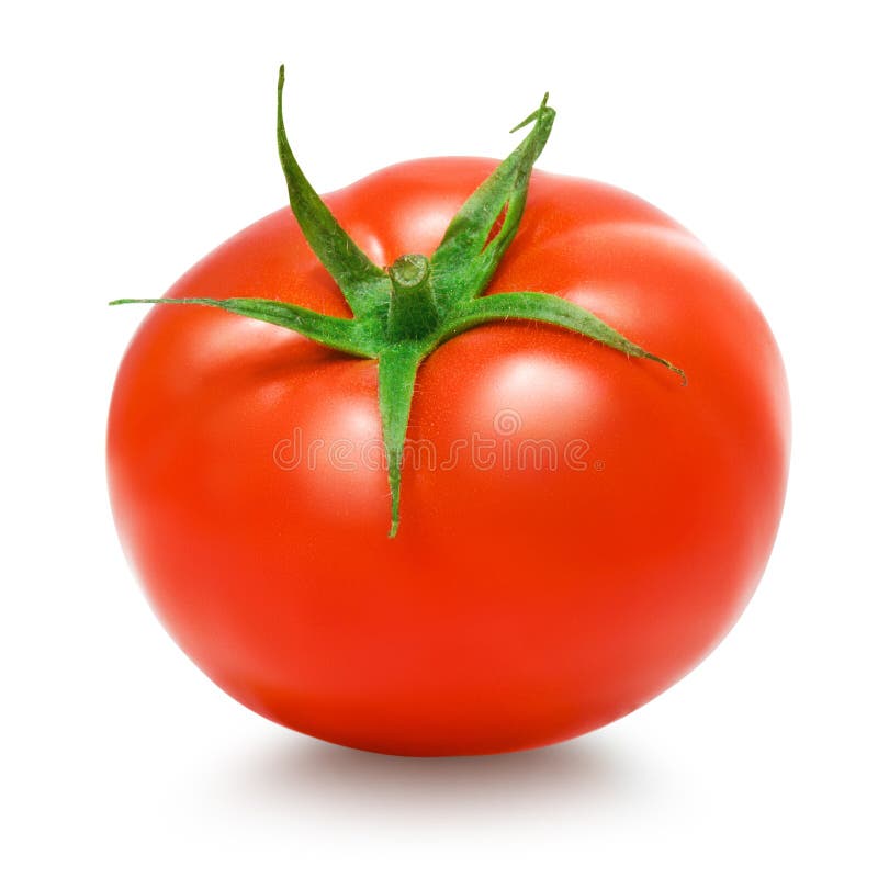 Tomato on white background