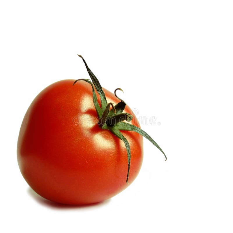 Tomate fresco foto de stock royalty free