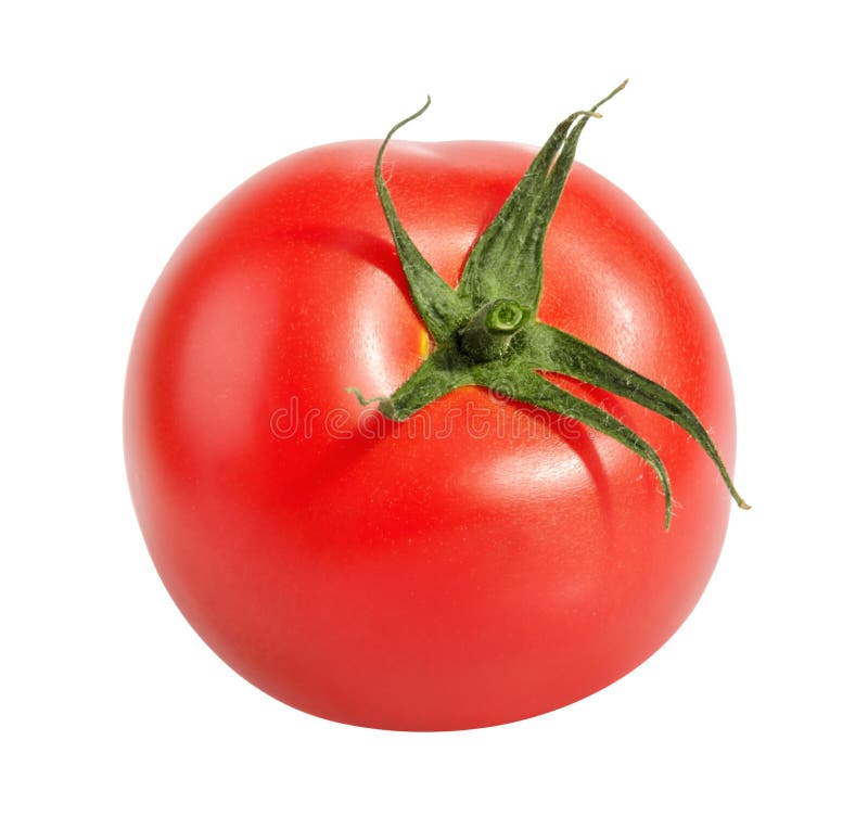 Tomatoe isolated on white