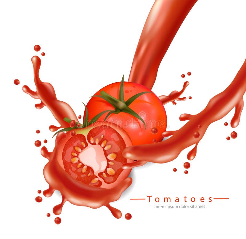 Tomatoe splash Vector realistic. Detailed 3d banner template for label, icon, product placements isolated on white