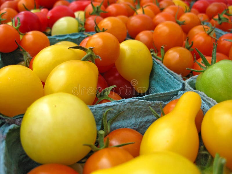 Tomatoes