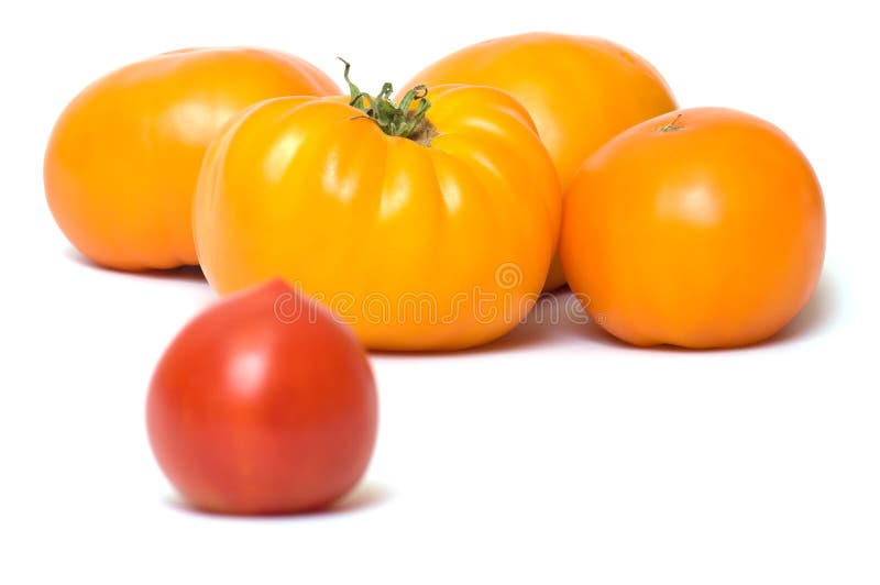 Tomatoes.