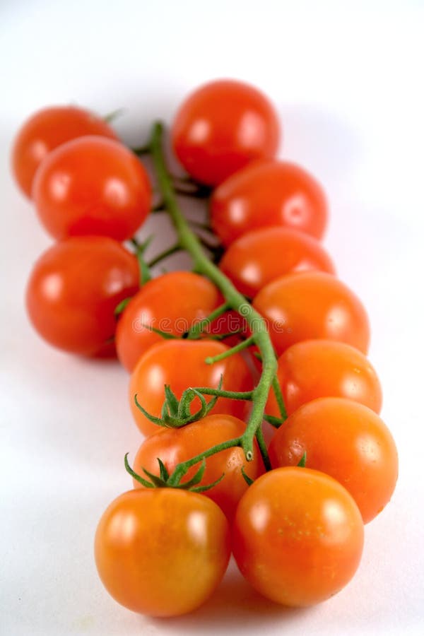 Tomatoes